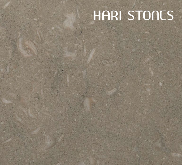 Limestone Fossilized Tiles Distributor