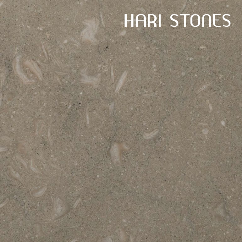 Limestone Fossilized Tiles Distributor