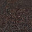 Fossil Brown Slabs Distributors