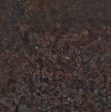 Fossil Brown Slabs Distributors