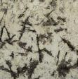Delicatus White Extra Slabs Suppliers