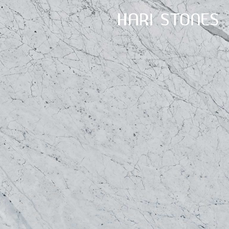 Bianco Statuario Marble Slabs Suppliers