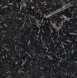 Fossil Black Marble Slabs Suppliers
