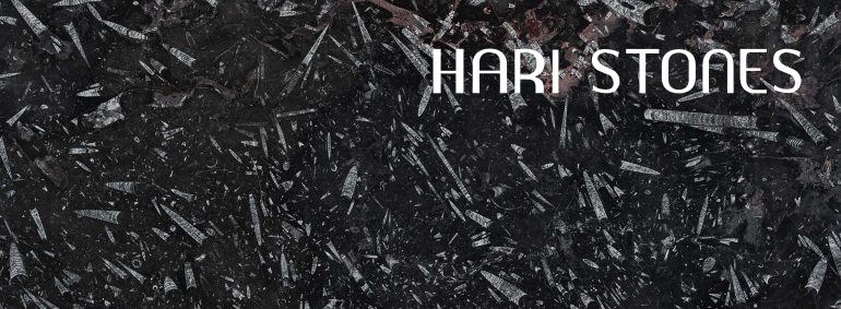 Fossil Black Marble Slabs Suppliers
