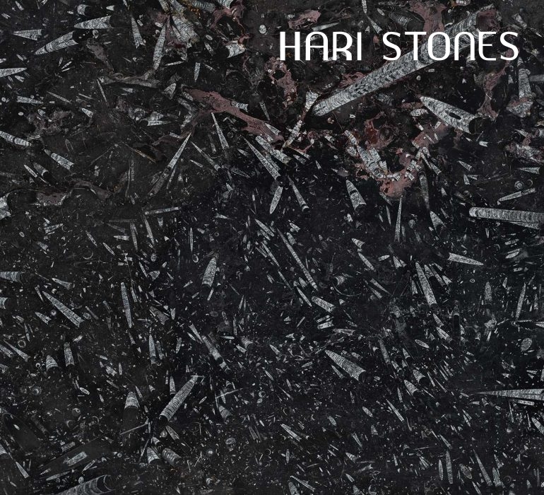 Fossil Black Marble Slabs Suppliers