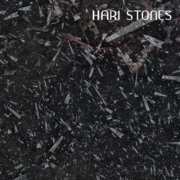Fossil Black Marble Slabs Suppliers