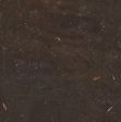 Jurassic Brown Marble Slabs Distributors