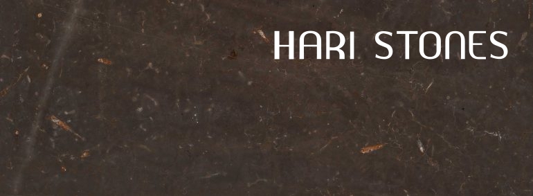 Jurassic Brown Marble Slabs Distributors