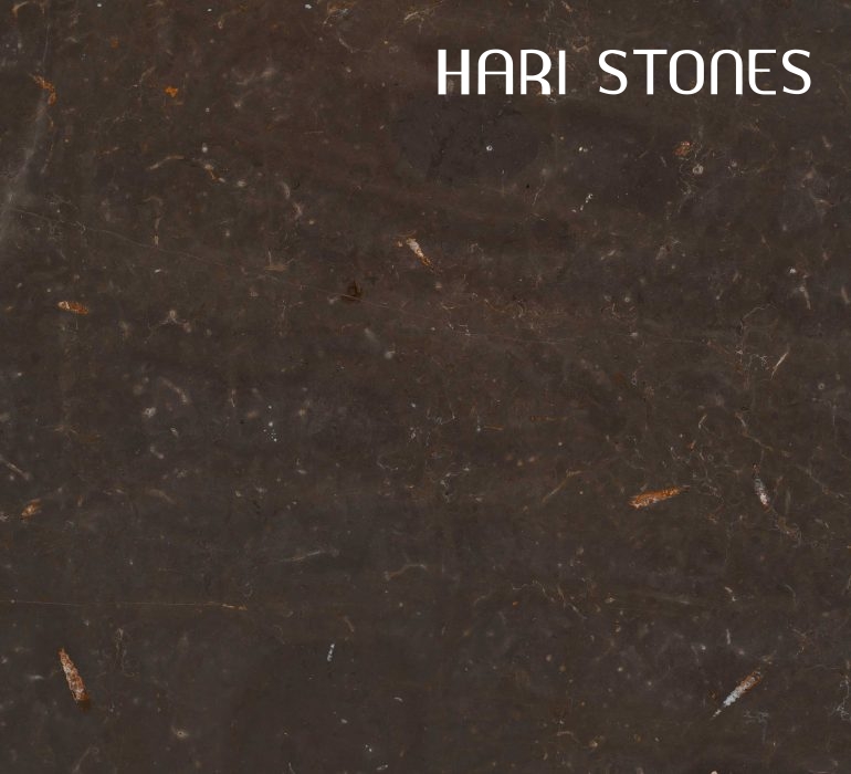 Jurassic Brown Marble Slabs Distributors