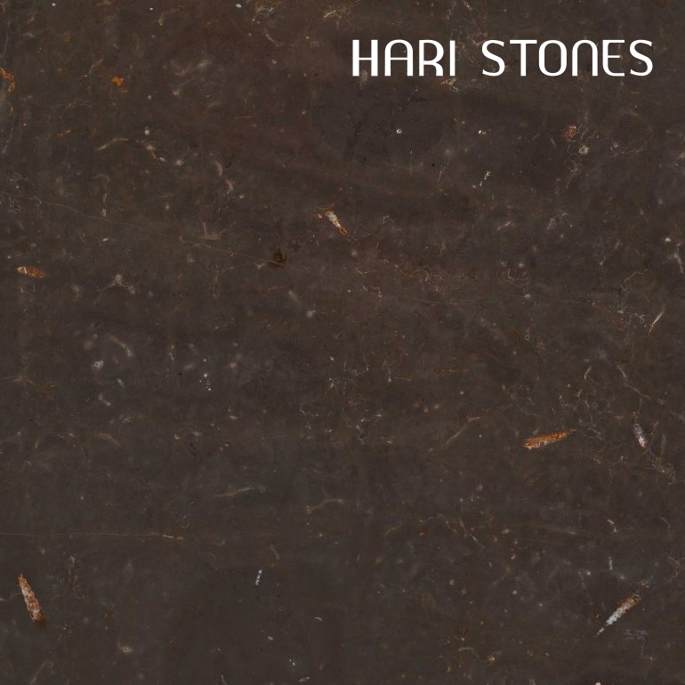 Jurassic Brown Marble Slabs Distributors
