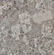 New Alaska White Granite Slabs Distributors