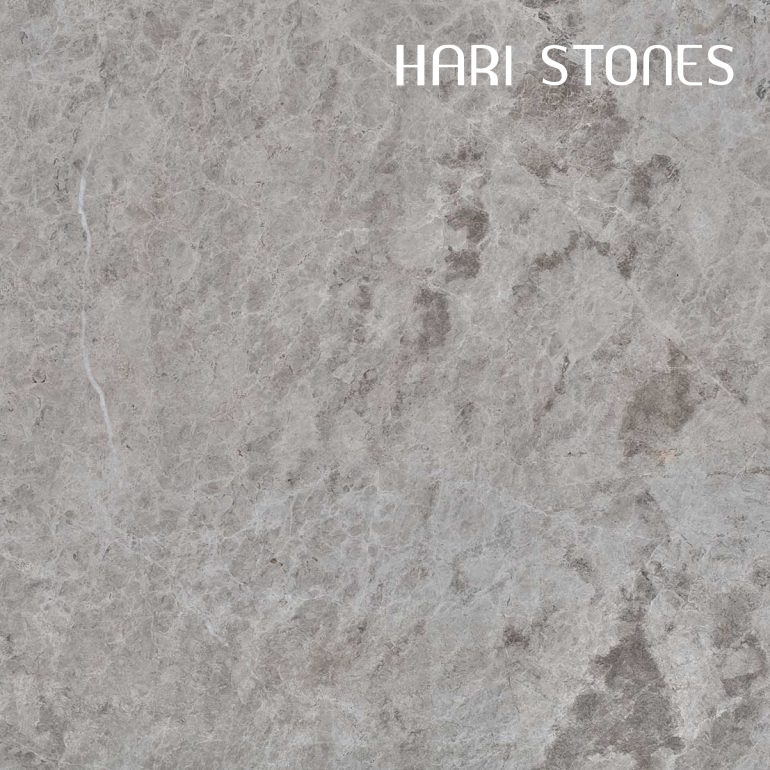 Silver Shadow Honed Tiles Supplier