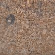 Torroncino Granite Slabs Distributors