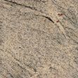 Summer White Granite Slabs Distributors