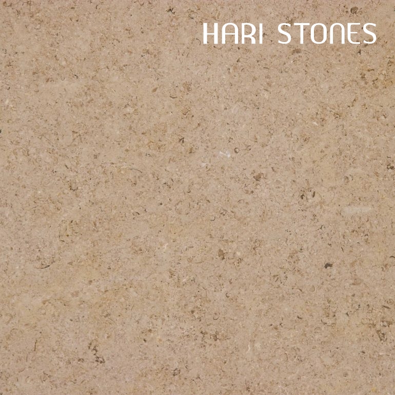 Trieste Polished Limestone Tile Distributors