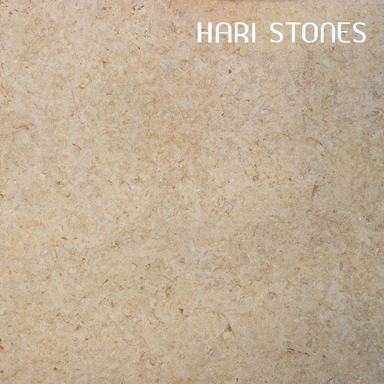 Lias Beige Honed