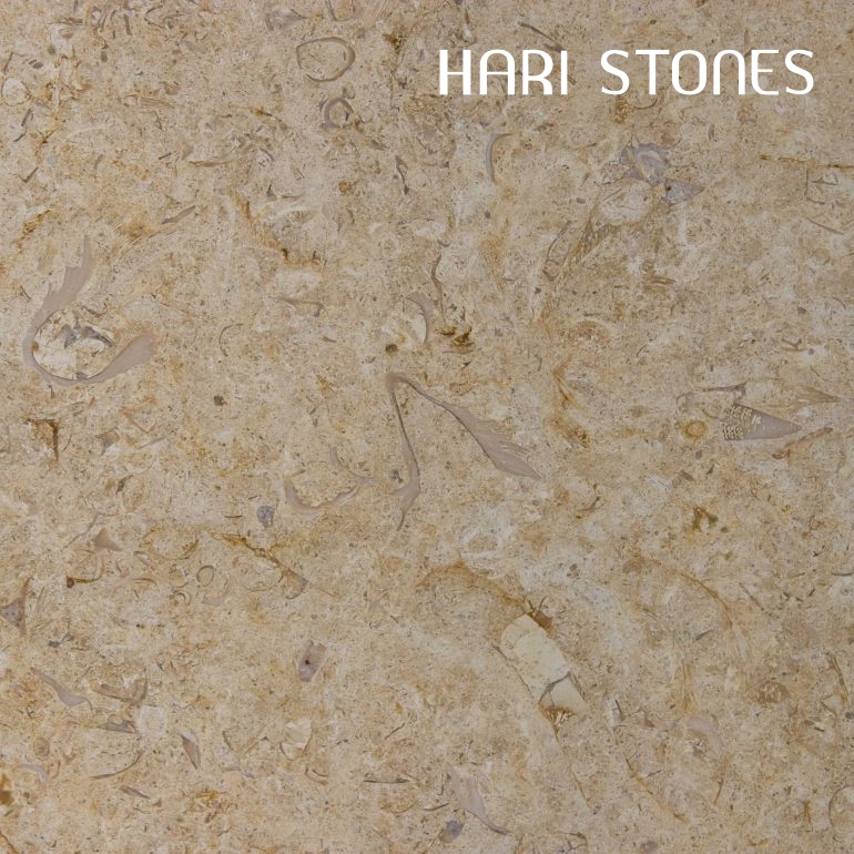 Lias Beige Honed - Tile Suppliers and Distributors