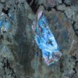 Labradorite Blue Australe Granite Slabs Suppliers