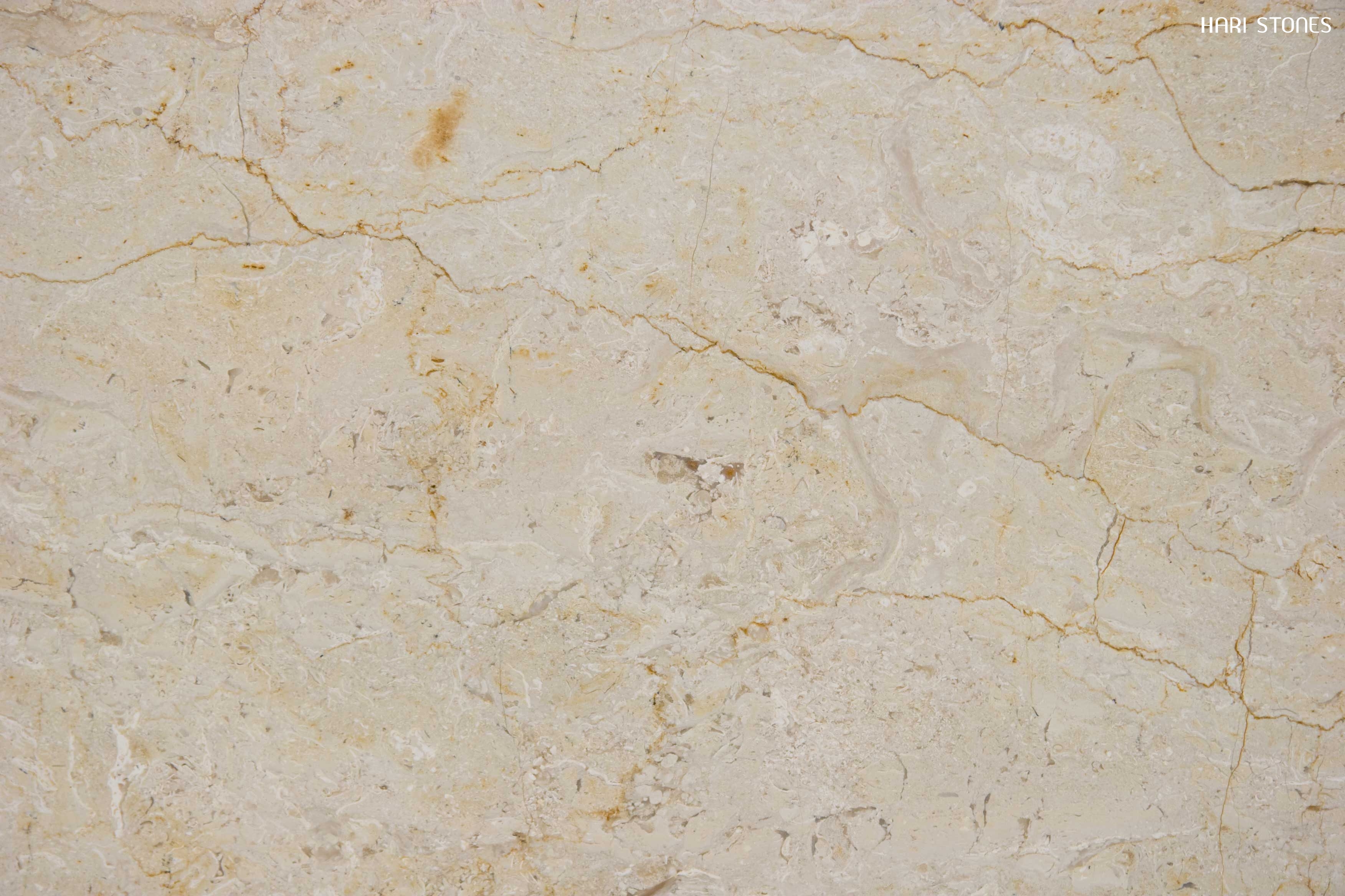 Internationale Donker worden machine Perlato Beige Marble Slabs Distributors Burnaby - Hari Stones