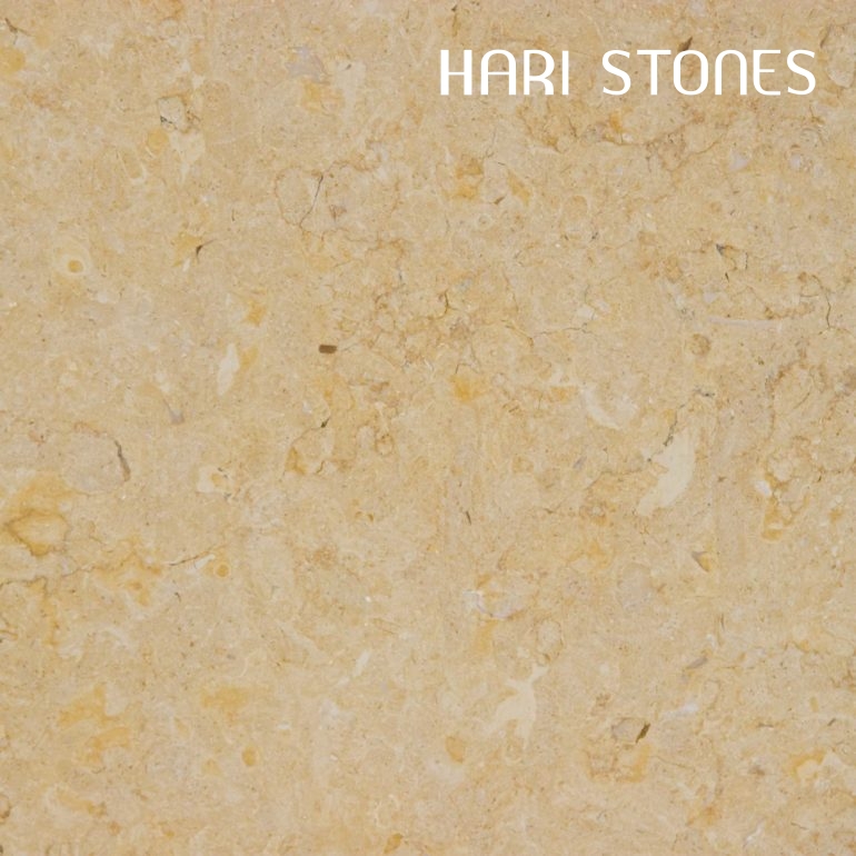 Jerusalem Gold Polished Limestone Tile Distributors