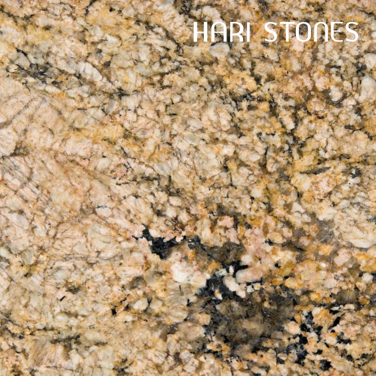 Golden Fantasy Granite Slabs Suppliers