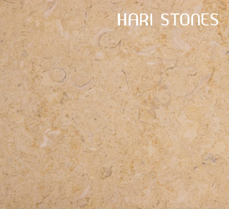 Lias Beige Polished Limestone Tiles Suppliers and Distributors