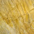 Yellow Bamboo
