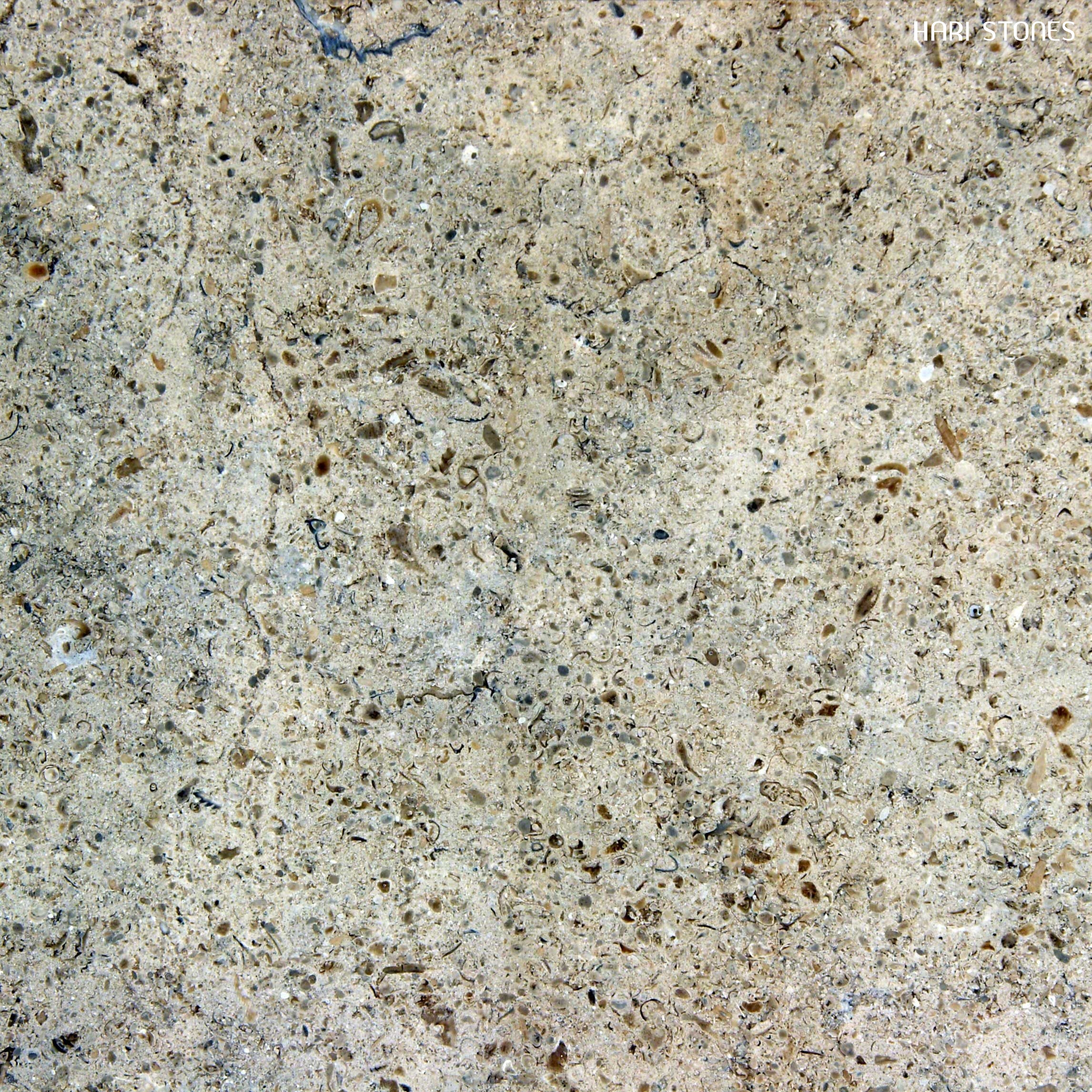 Gascogne Blue Tile Importers And Distributors Of Granite Marble Gascogne Blue Tile