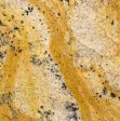 Giallo Medusa Granite Slabs Distributors