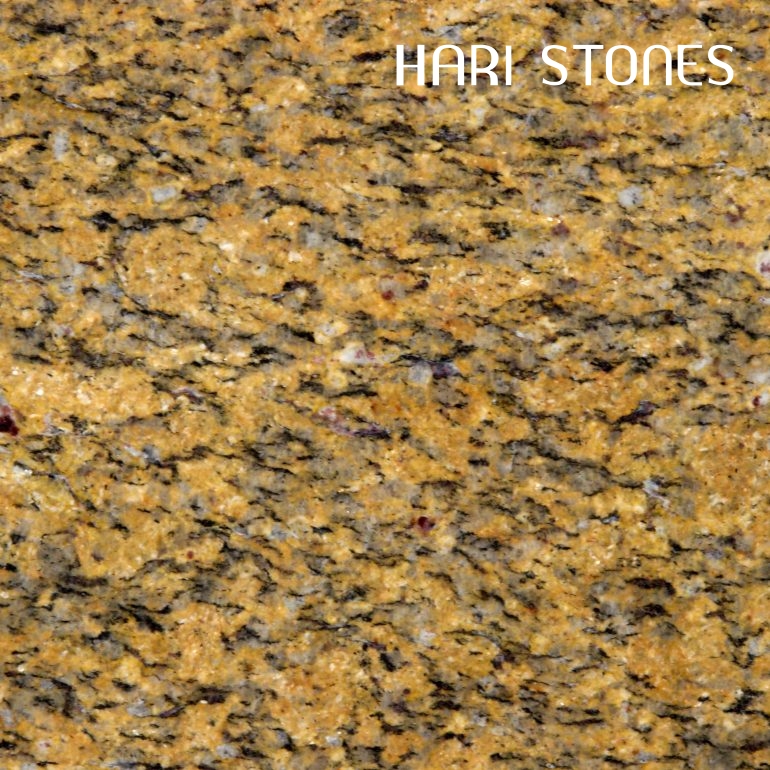 Golden King Granite Slabs Suppliers