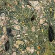 Green Marinace Grainte Slabs Suppliers