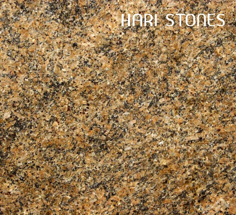 Key West Gold Granite Slabs Suppliers