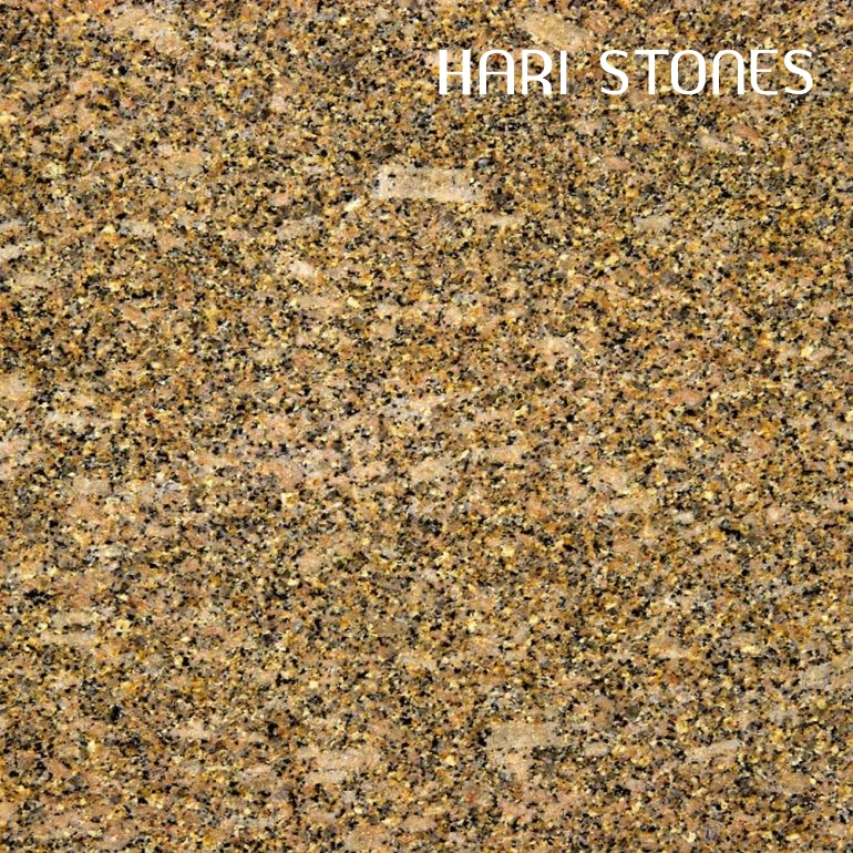 Carioca Gold Granite Slabs Supplier