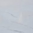 Calacatta Colorado Slabs Suppliers