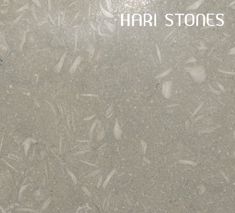 Fossilized Polished Tiles Suppliers