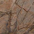 Marble Rain Forest Brown Tiles