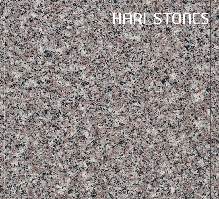 Brown Sugar Granite Tiles Distributors