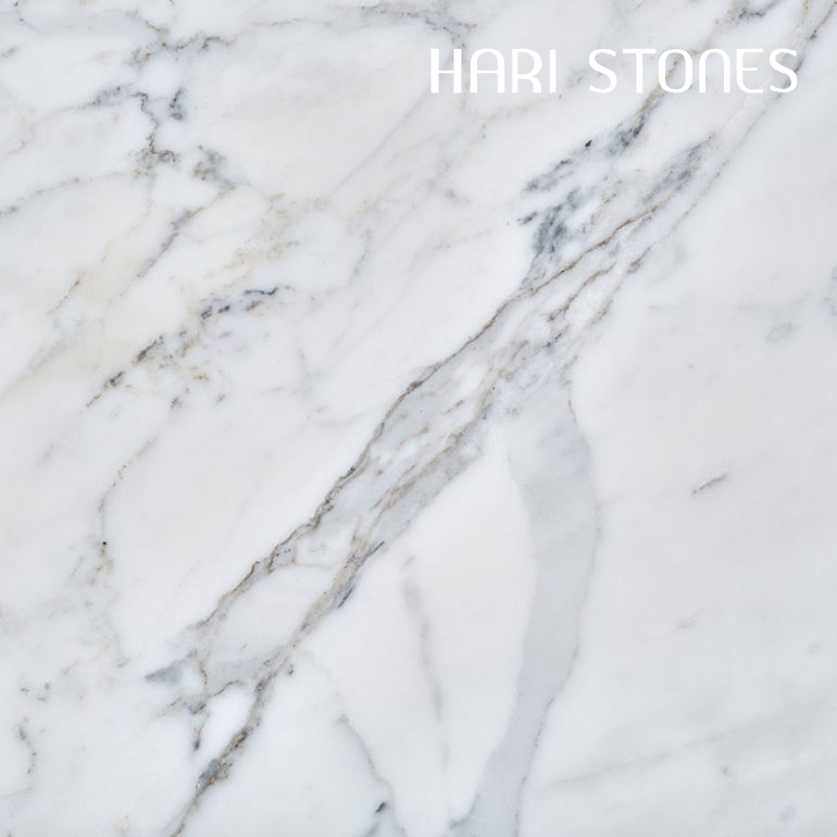 Bianco Statuario Honed Tiles Distributors