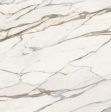 Calacatta Gold Ceramica Tile Suppliers