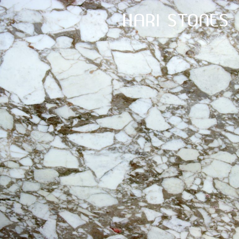 Marble Calacatta Vagli Gold