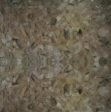 Argonite Aqua Slabs Distributors and Suppliers