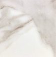 Calacatta Extra Tech Lux Supplier