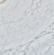 Calcata Marble Slabs Suppliers
