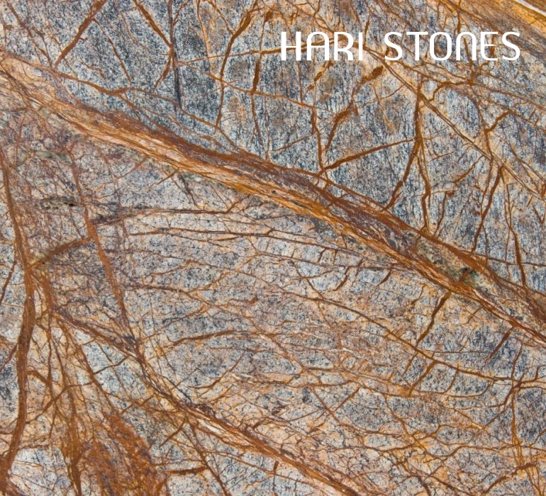 Rain Forest Brown Polished Supplier