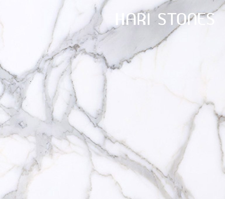 Kalos Bianco Slabs Distributors