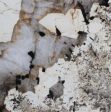 Patagonia Granite Slabs Distributors