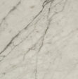 Marble Bianco Statuario - Honed Slabs Suppliers