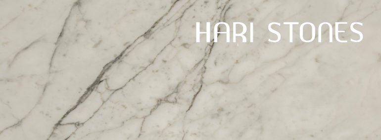 Marble Bianco Statuario - Honed Slabs Suppliers