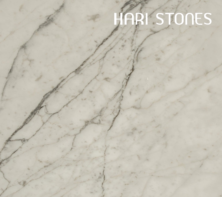 Marble Bianco Statuario - Honed Slabs Suppliers