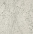 Marble Bianco Statuario Special Batch